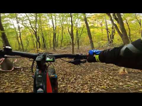 Видео: 24 октября 2025 г.