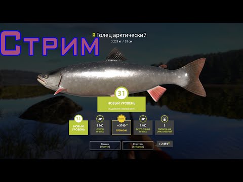 Видео: Русская рыбалка 4🎣🎏ФАРМ🦈ВСЕМ ПРИВЕТ И УДАЧНОГО КЛЁВА!!!!!!