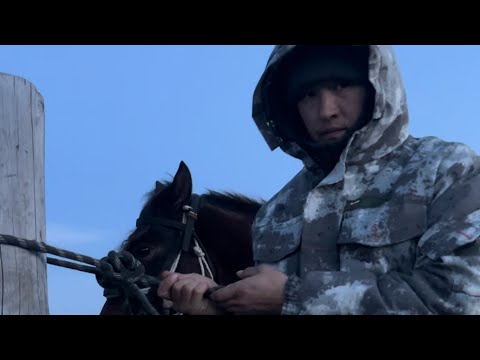 Видео: У Бурят- богатство лошадь