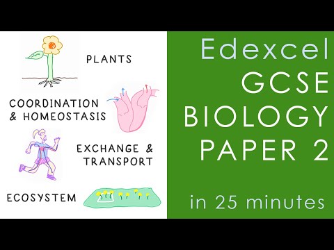 Видео: Весь экзаменационный материал Edexcel по биологии 2 за 25 минут — подготовка к экзамену GCSE Scie...