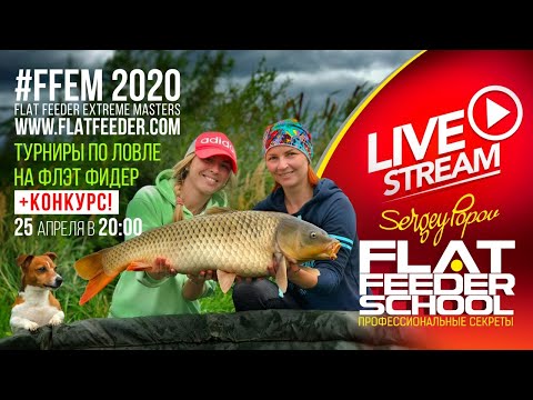 Видео: FFEM - Соревнования по флэт фидеру / Шашлык - Внеклассное чтение / #11 Лекция / FLAT FEEDER SCHOOL