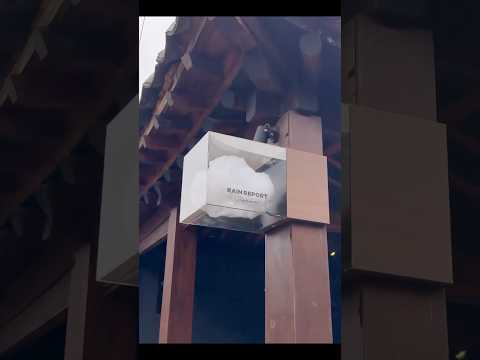 Видео: Летим домой! #korea #еда #отдыхвкорее #bts #марусяозвучка