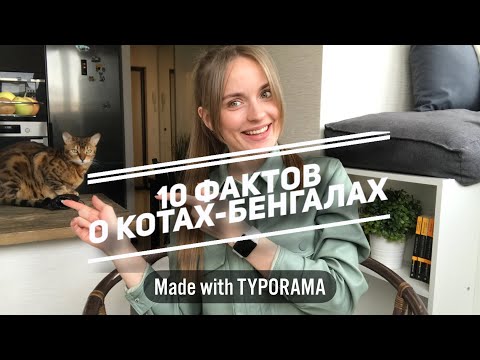 Видео: 10 фактов о котах-бенгалах. Дикий кот. Бенгальский кот Бонифаций. Особенности породы. Мой опыт.