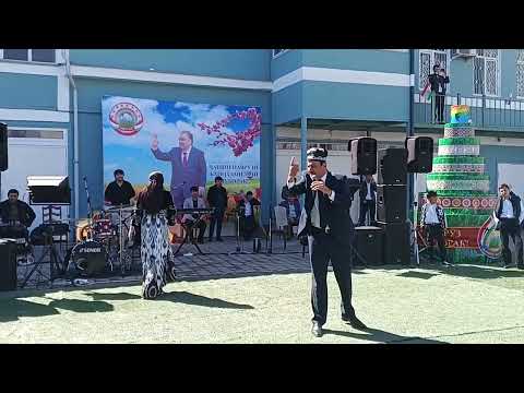 Видео: Чамшеди Халим зарбулмасали нав 2024