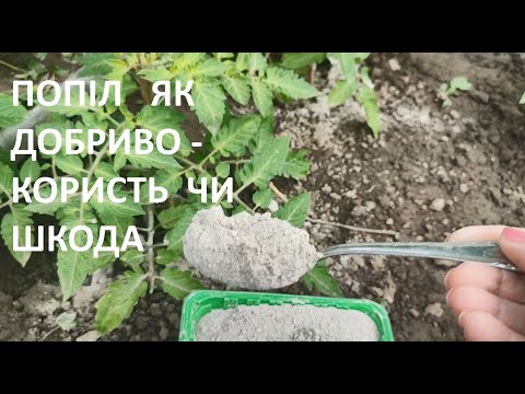 Видео: ПОПІЛ  ЯК  ДОБРИВО  - КОРИСТЬ  ЧИ  ШКОДА