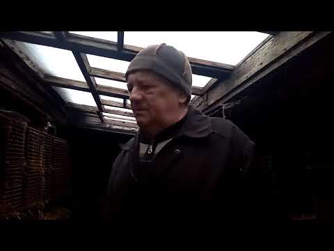 Видео: ответы на вопросы