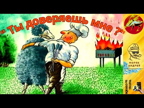 Видео: Телефонное мошенничество . Автор - моряк Андрей.
