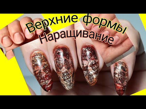 Видео: *692*Сама себе мастер!Наращивание на Верхние формы.Осенний дизайн кошечками и стемпингом