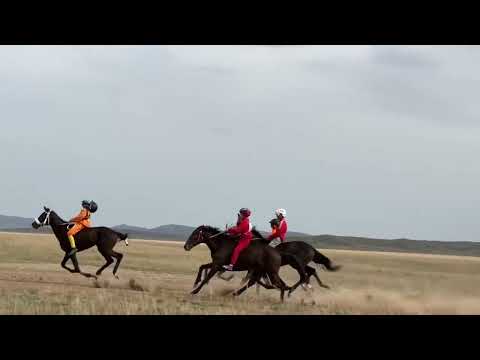 Видео: Аппаз ауылы Құнан бәйге 09.05.2025ж
