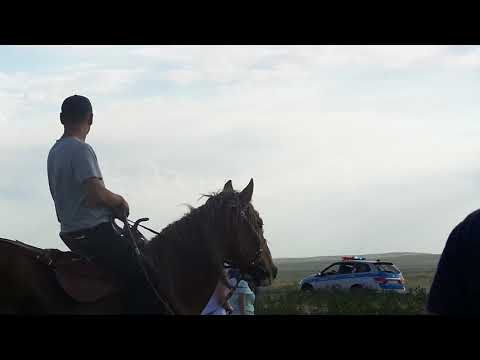 Видео: Ат жарыс Бұқар жырау-350