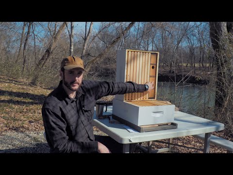 Видео: Расширенный отлов роя (извлеченные уроки)