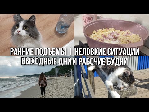Видео: vlog: встаю в 5 утра в выходной | неловкая ситуация | 12-15.07.2025