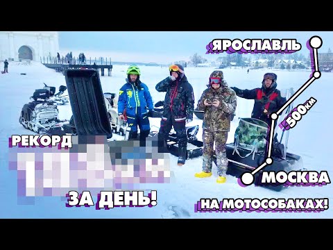 Видео: РЕКОРД за ДЕНЬ на МОТОСОБАКАХ! Из Москвы в Ярославль 500км на МОТОСОБАКАХ! Серия 4