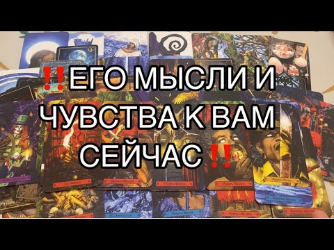 Видео: ‼️Мужчина о котором Ты Думаешь 👨🏻Что у него к тебе ❤️мысли ❤️чувства ‼️#таро #tarot #таролог