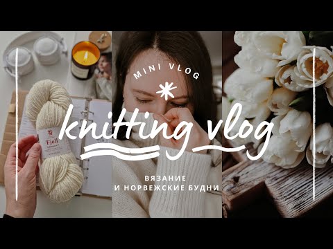 Видео: vlog 11/24 | вязальные новости 🧶 мои новые процессы и покупки пряжи ✨️🎁 #тайная_коробочка
