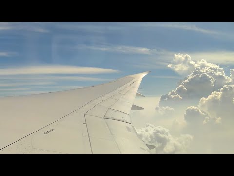 Видео: Таиланд 2024. Часть 6.  Перелет Бангкок-Маскат-Москва Oman Air