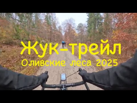 Видео: Жук-трейл в Гданьске: 40 км по оливским лесам 