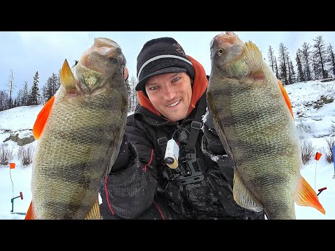 Видео: Это ЯКУТИЯ!!! оКОНИ ЗАГИБАЮТ СНАСТЬ,  ЩУКАНЫ ЖГУТ ЖЕРЛИЦЫ! ЛЕСКИ ТРЕЩАТ, НОГИ БОЛЯТ!