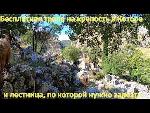 Видео: Бесплатная тропа к Которской крепости и на что это похоже в реальности