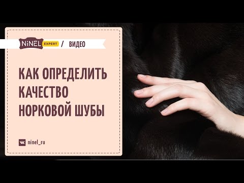 Видео: Как выбрать норковую шубу?