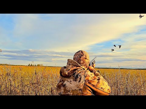 Видео: Я ЧУДОМ ВЫШЕЛ С ЭТОГО ОЗЕРА С ДОБЫЧЕЙ. ОХОТА НА УТКУ.