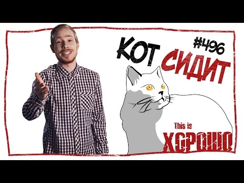 Видео: This is Хорошо - Кот сидит. #496