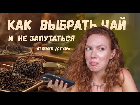 Видео: Белый, зелёный, пуэр — чем отличаются? | Простым языком о чае