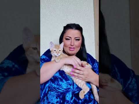 Видео: ПРЯМОЙ ЭФИР (Часть-2) 16.09.2021 Инстаграм Рима Пенджиева