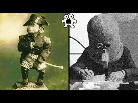 Видео: Исторические Фото, Которые Должен Увидеть Каждый. Часть 3