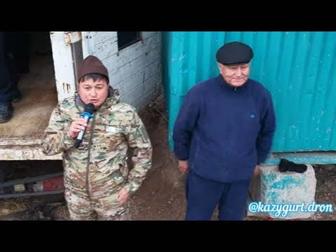 Видео: 12.02.2025 Қазығұрт ауданы Қызылқия елді мекені Қасымбековтар әулетінің елден бата алу көкпар тойы