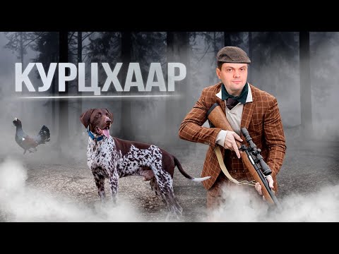 Видео: МАСТОТЦИТОМА КОЖИ | КУРЦХААР