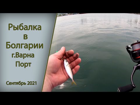 Видео: Рыбалка в Болгарии г. Варна,  Порт. Сентябрь 2021