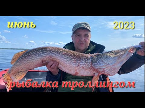 Видео: Рыбалка троллингом.  ЩУКА МЕЧТЫ. #рыбалка #трофейная щука#fishing