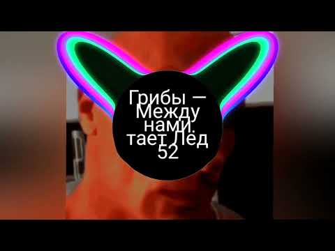 Видео: Грибы – Тает Лёд  52-58 hz rebassed by me