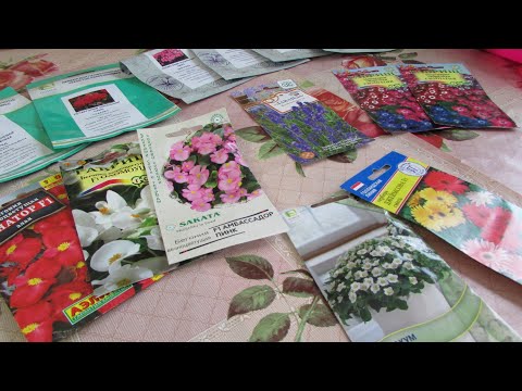 Видео: Какие цветы я посеяла в январе