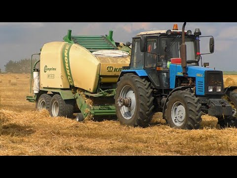Видео: прессование соломы MTZ 1221B.2 /  krone comprima cf 155 xc
