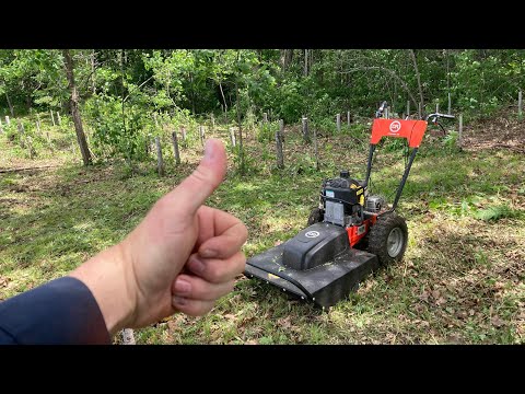 Видео: Газонокосилка DR Walk-Behind для полевых работ и кустарников: расчистка земли! Расчищаем лес, рас...