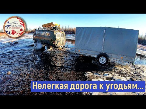 Видео: Промысловый сезон охоты в Якутии 2020. Дорога на угодья.