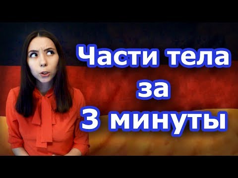 Видео: Как запомнить немецкие слова? Тема «Части тела». Часть 1. Уровень А1.
