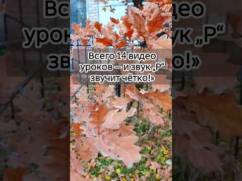 Видео: Всего 14 видео уроков — и звук „Р“ звучит чётко!»