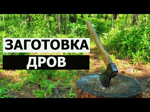 Видео: ЗАГОТОВКА ДРОВ / ЛЕГКИЙ СПОСОБ