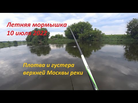 Видео: Летняя мормышка. 10 июля 2022. Плотва и густера верхней Москвы реки.