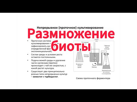 Видео: Как быстро размножить почвенные бактерии?