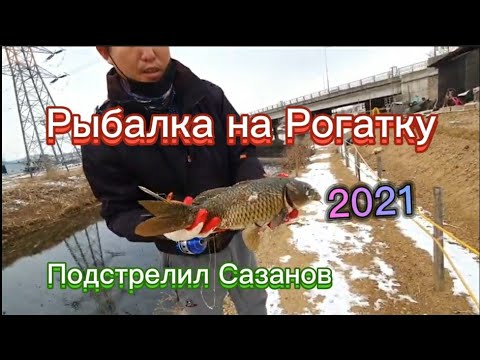 Видео: Охота с Рогаткой. Рыбалка на Рогатку на саззана.