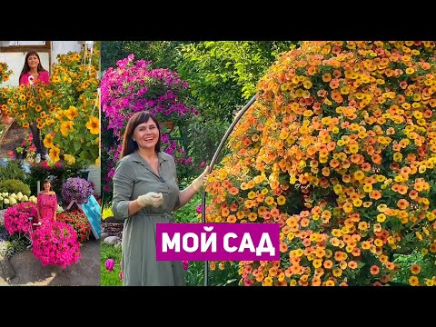 Видео: Показала Мой сад 2020  и рассказала что буду сажать в 2021 году