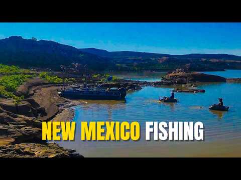 Видео: Низкая вода. Большая рыба. Незабываемый день. | WildHook Adventures в Элефант-Бьютт