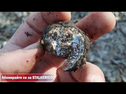 Видео: Трюфели през февруари - Truffles in February