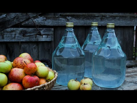 Видео: 🍏 🍎Бабушка делает 20 литров традиционного румынского яблочного бренди🍏 🍎