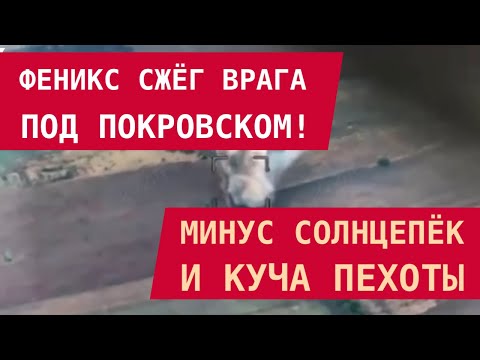 Видео: Феникс сжёг врага под Покровском! Минус Солнцепёк и куча пехоты