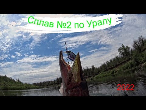 Видео: Сплав №2  #урал #оренбург #голавль